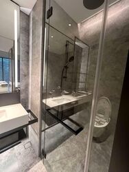 Cuscaden Reserve (D10), Condominium #558152441
